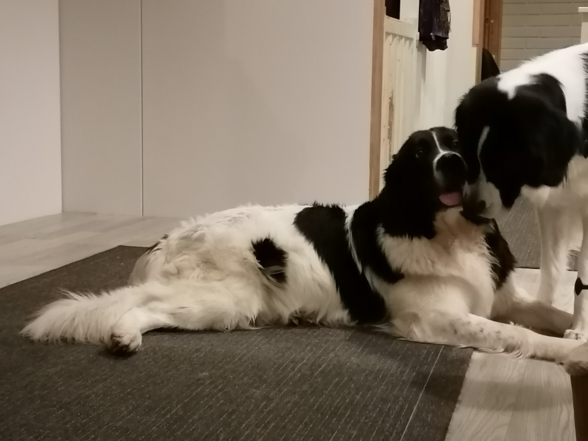 Oona hoitaa siskoaan